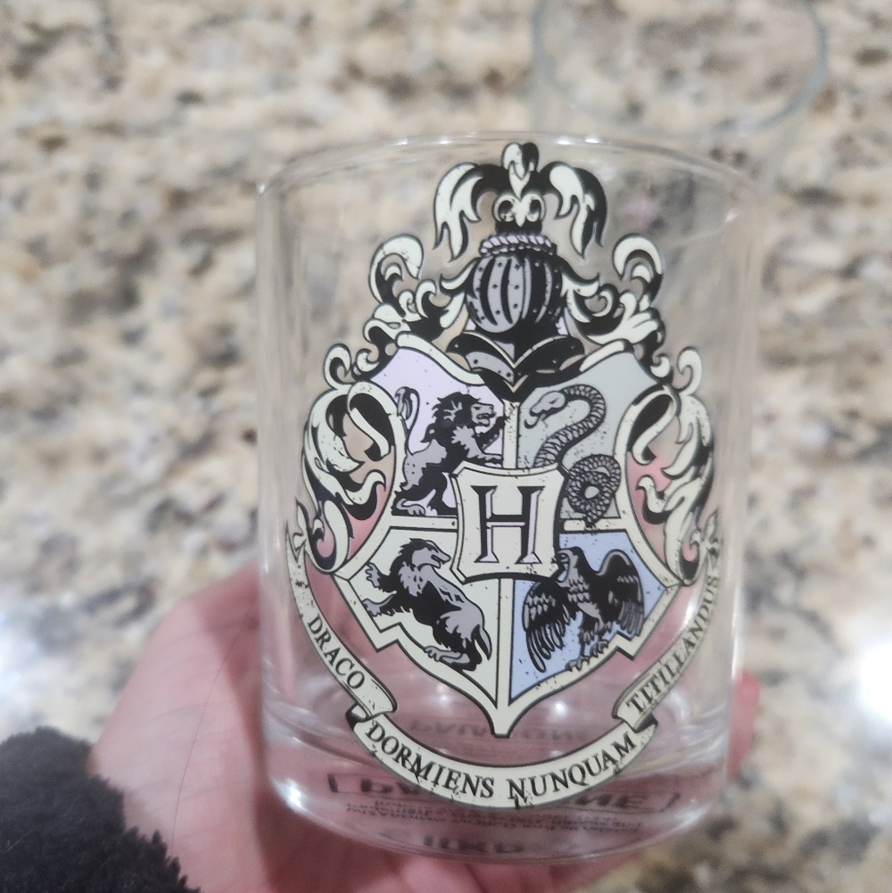 Wizarding World Harry Potter Drinking Glass Set - Picture 2 of 3